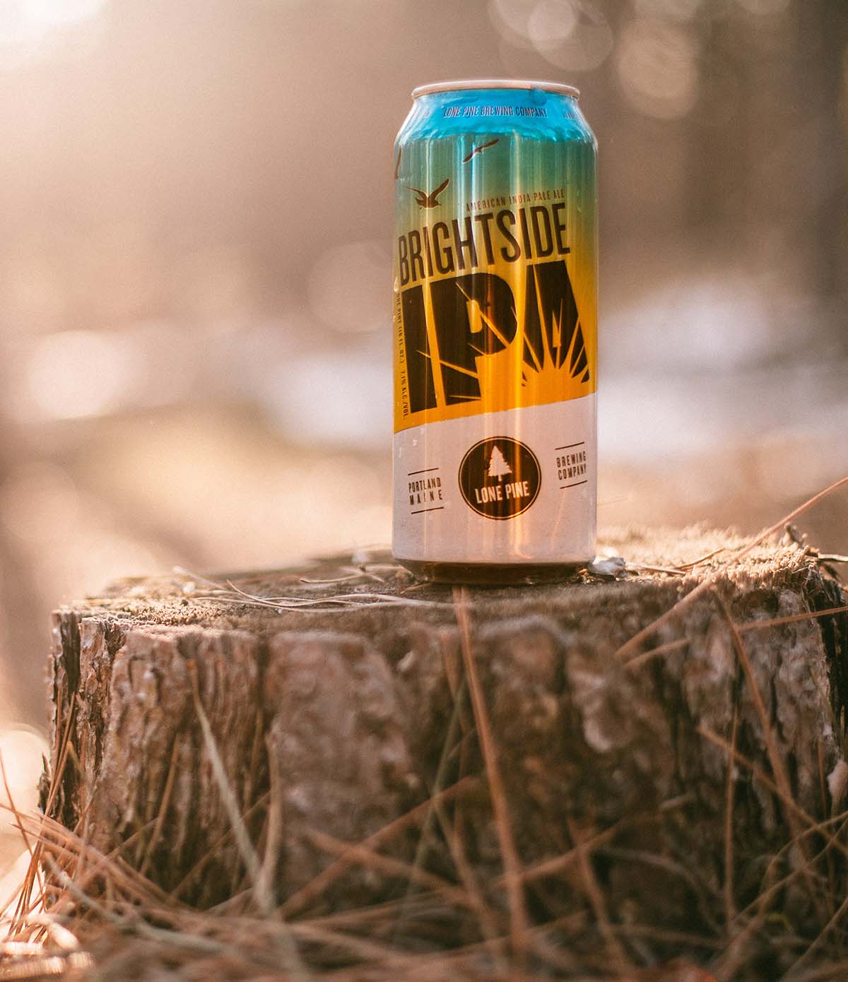 Beer Hug - Brightside - Image 2
