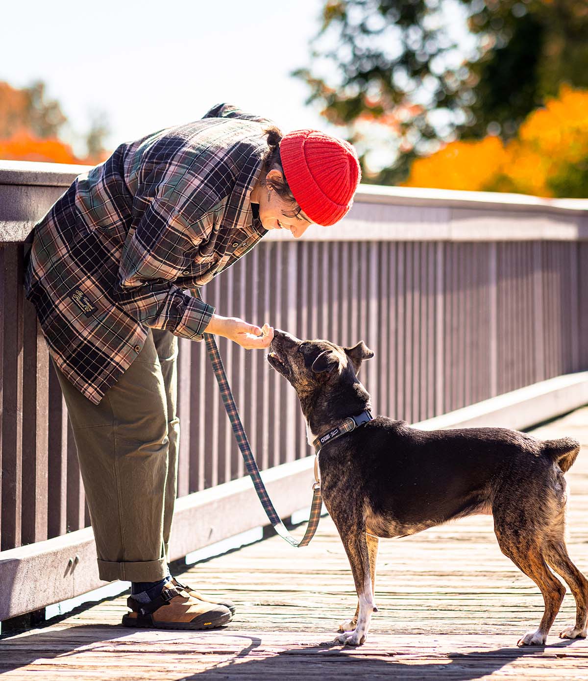 Everyday Leashes - Image 7