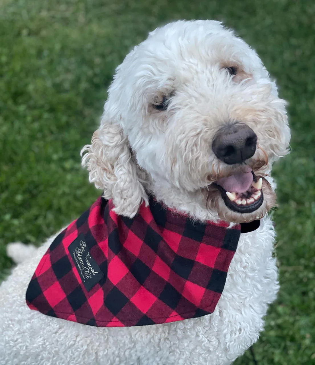 Flannel Dog Bandana - Red Buffalo - Image 3