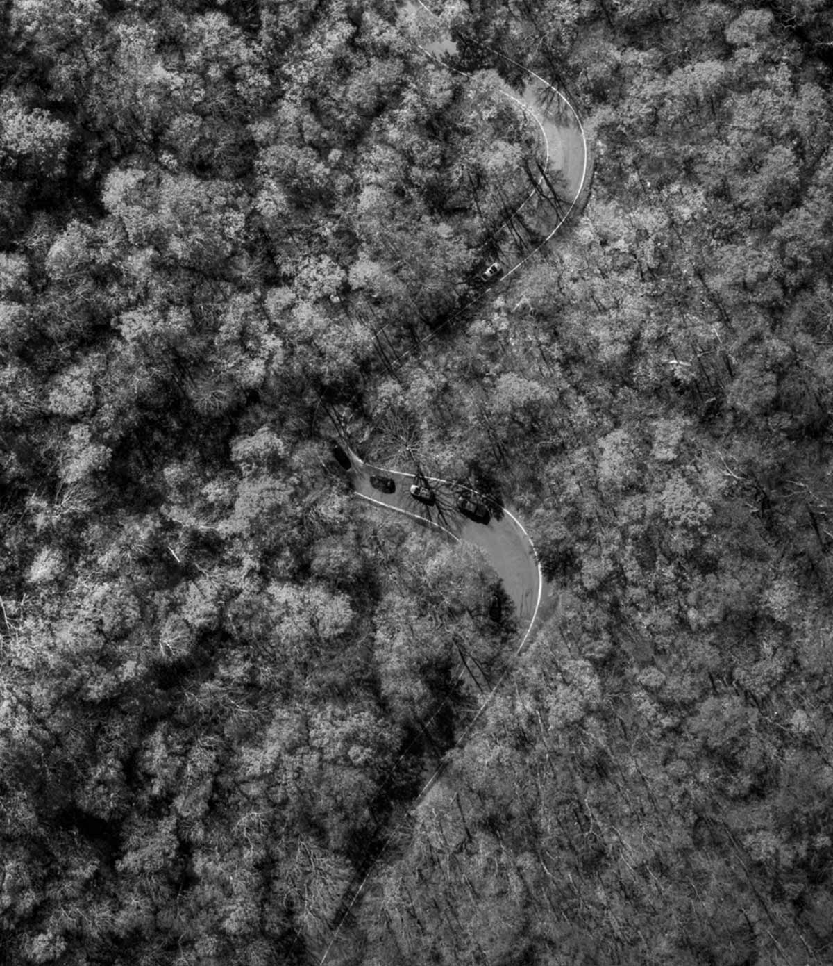 Luxury Blanket - Switchback - Image 6